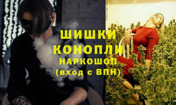 дживик Аркадак