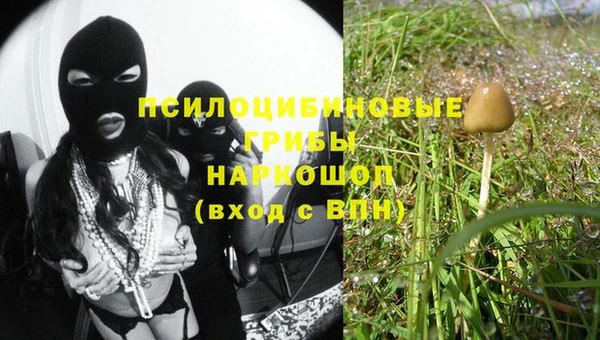 дживик Аркадак