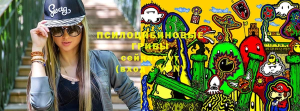 меф Арсеньев