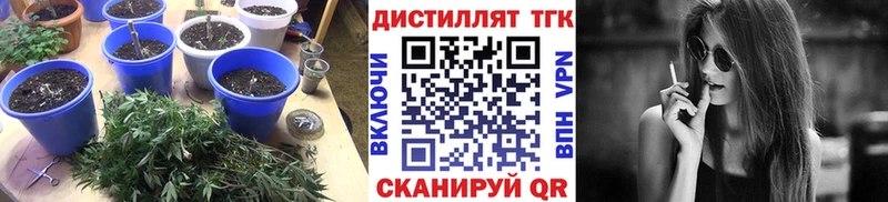 цена наркотик  Аша  ТГК THC oil 