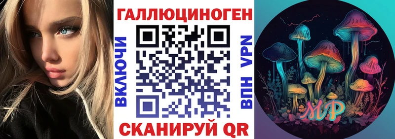 где купить наркотик  Аша  Галлюциногенные грибы прущие грибы 